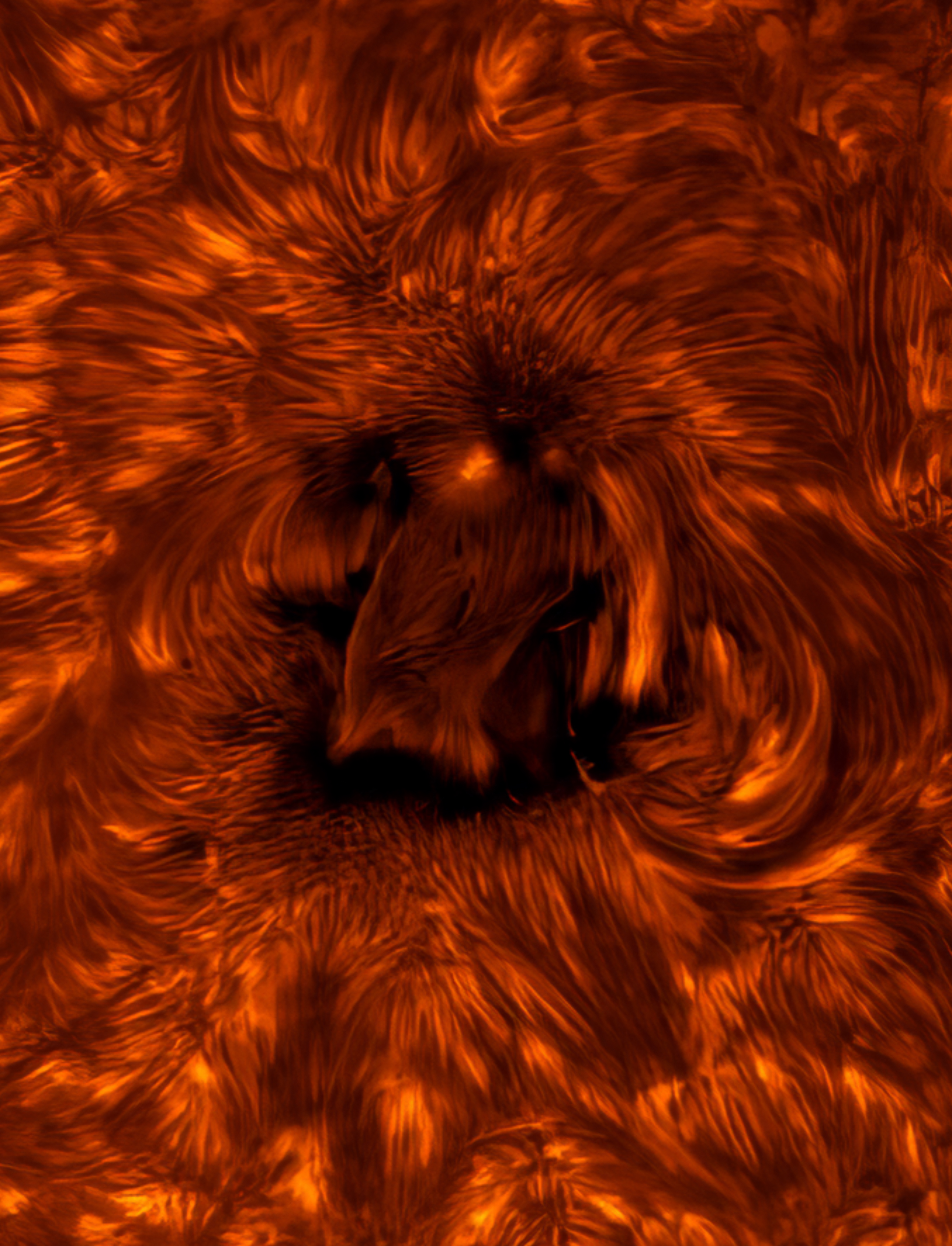 A dark region of the Sun is surrounded by wispy bright structures